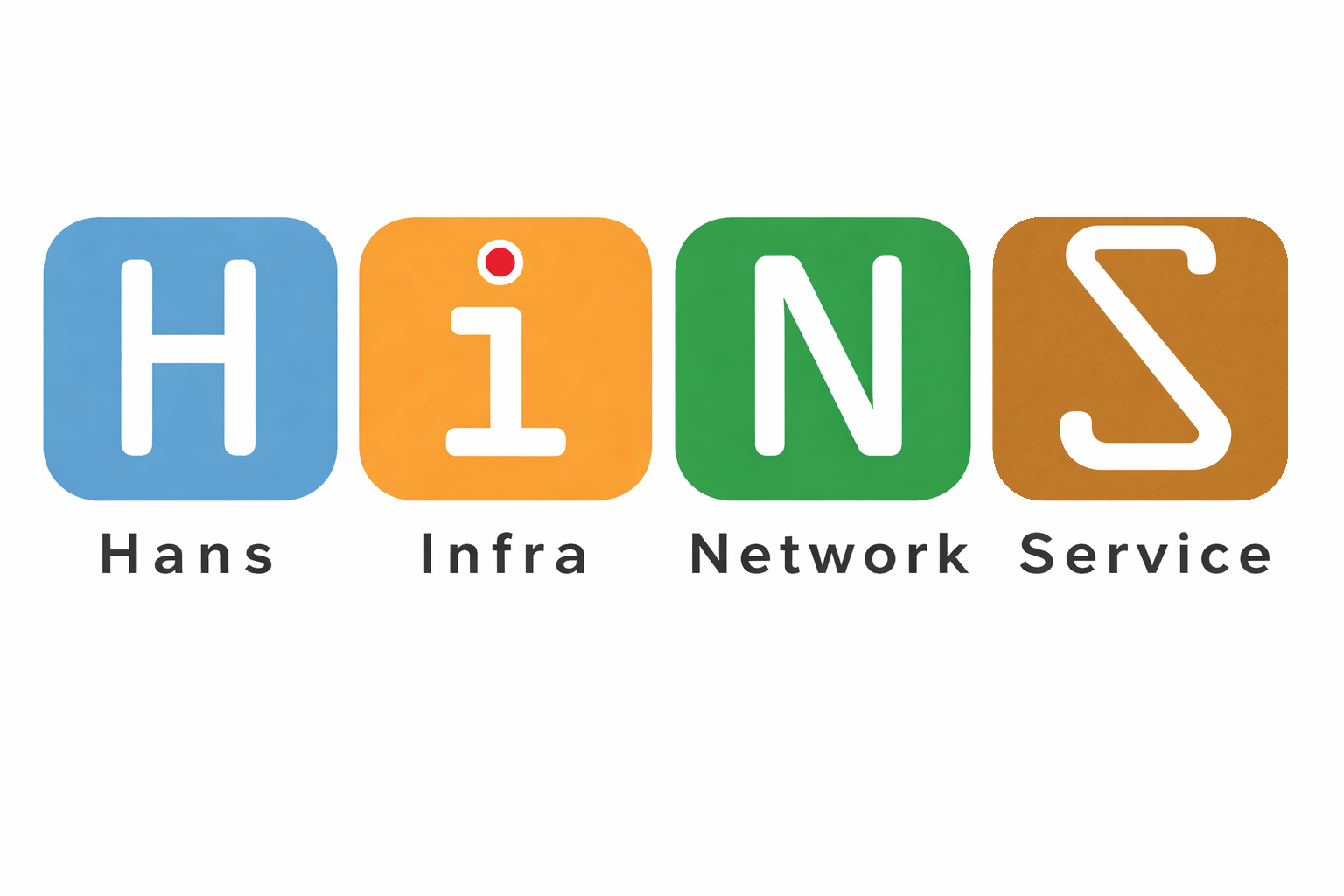 HINS Logo